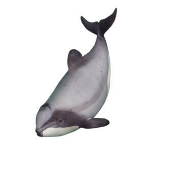 Hector’s Dolphin - long sleeve - black - Mens Base Organic Long Sleeved Tee Design