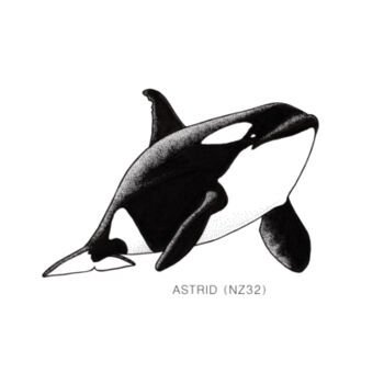Astrid - NZ Orca - tee - Mens Staple Organic Tee Design