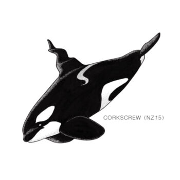Corkscrew - NZ Orca - tee - Mens Staple Organic Tee Design
