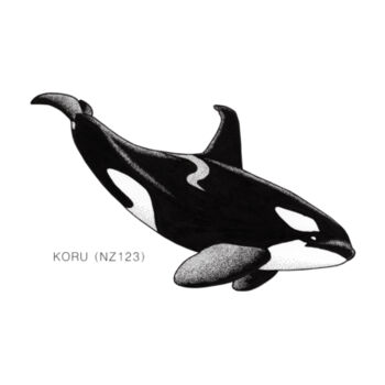 Koru - NZ Orca - tee - Mens Staple Organic Tee Design