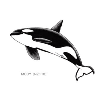 Moby - NZ Orca - tee - Mens Staple Organic Tee Design