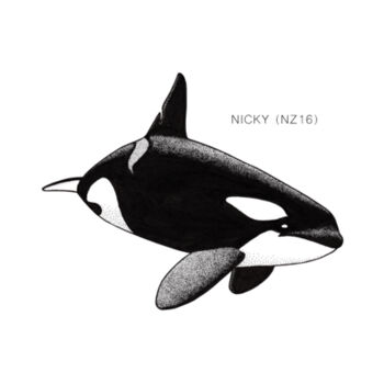 Nicky - NZ Orca - tee - Mens Staple Organic Tee Design