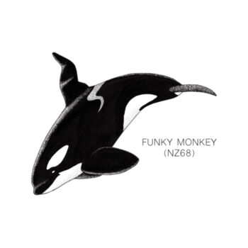 Funky Monkey - NZ Orca - tee - Mens Staple Organic Tee Design