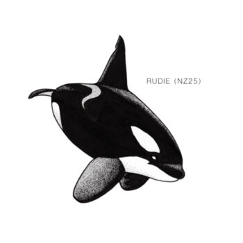 Rudie - NZ Orca - tee - Mens Staple Organic Tee Design