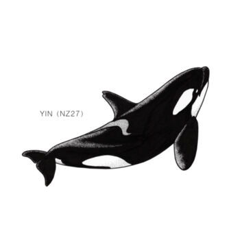Yin - NZ Orca - tee - Mens Staple Organic Tee Design