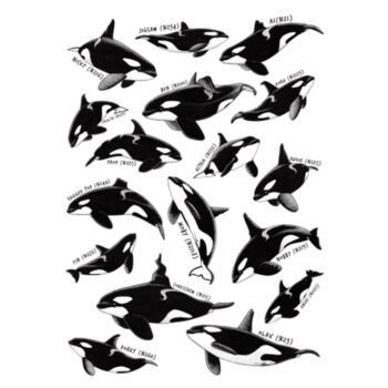 YOUTH/CHILD - NZ Orca tee - Kids Youth T shirt Design