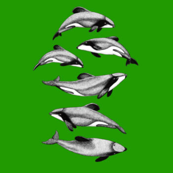 Maui/Hector's Dolphins Tee - Unisex - Mens Icon Tee Design