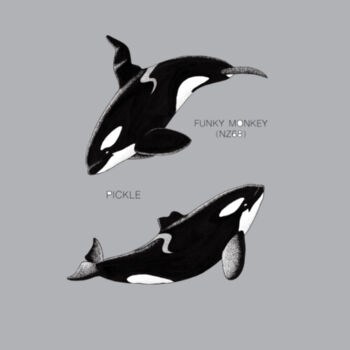 NZ Orca - Pickle & Funky Monkey -  - Mens Staple Organic Tee Design