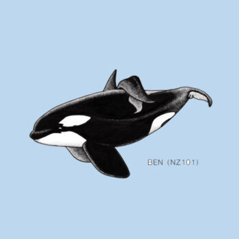 "Ben" - NZ Orca - KIDS - Kids Unisex Classic Tee Design