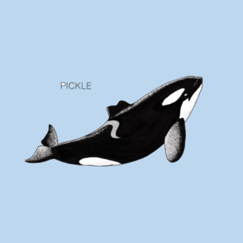 "PICKLE" - NZ Orca - KIDS - Kids Unisex Classic Tee Design
