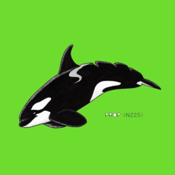 "PROP" - NZ Orca - KIDS - Kids Unisex Classic Tee Design