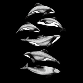 NZ DOLPHIN  - Tote shopper  - Carrie Tote Bag  Design
