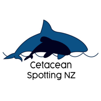 Cetacean Spotting NZ - women's tee Design