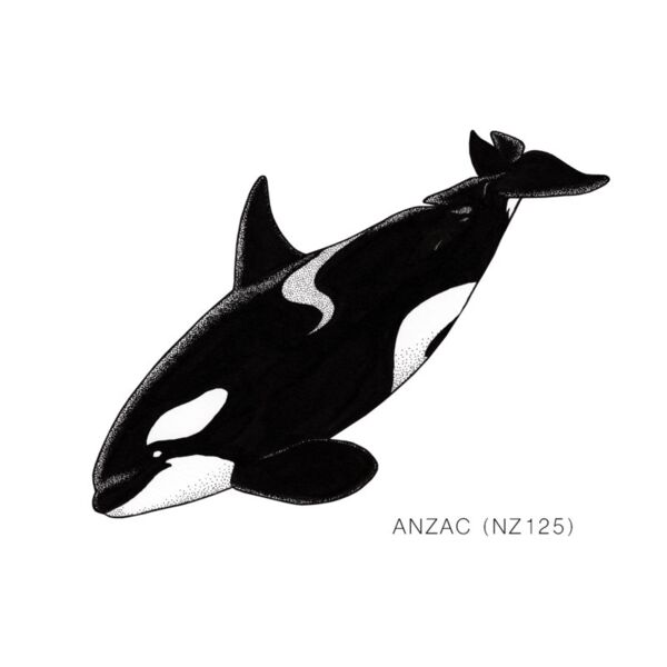NZ Anzac Thumbnail