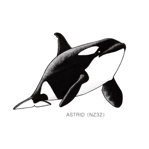 NZ Astrid Thumbnail