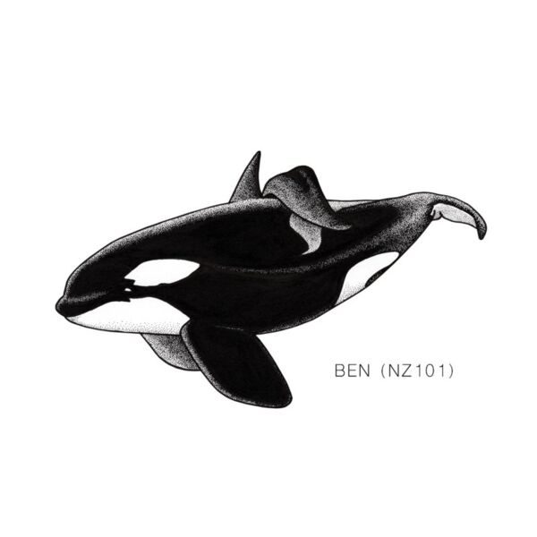 NZ Ben Thumbnail