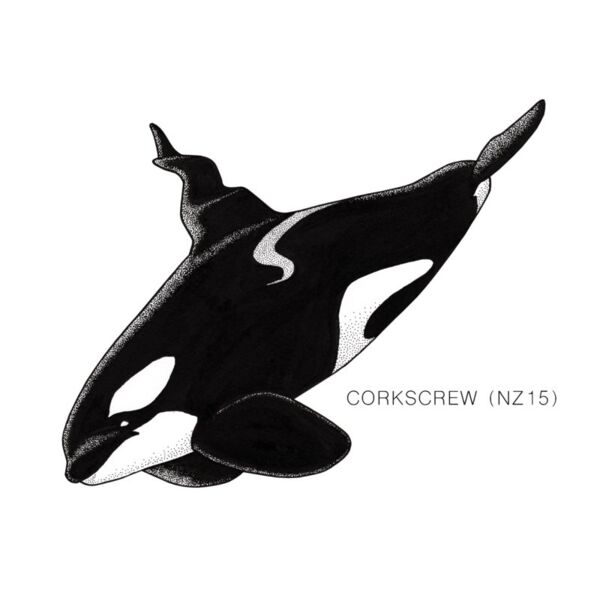 NZ Corkscrew text Thumbnail
