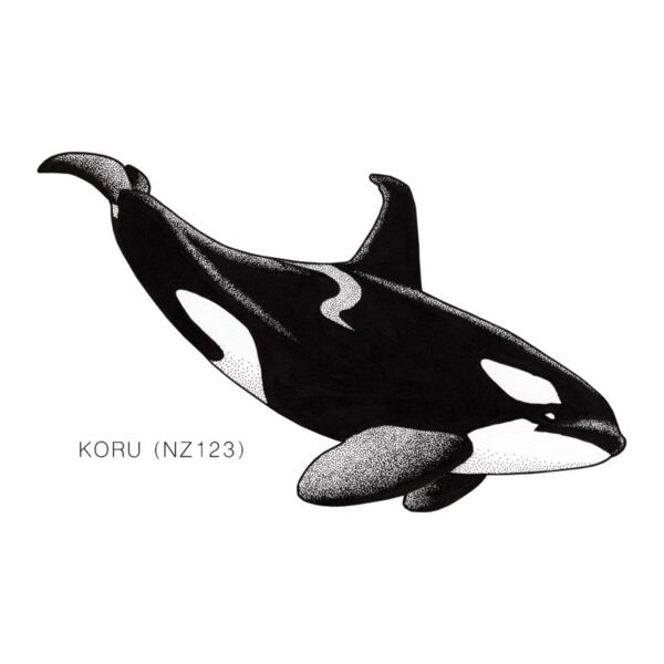 NZ Koru Thumbnail