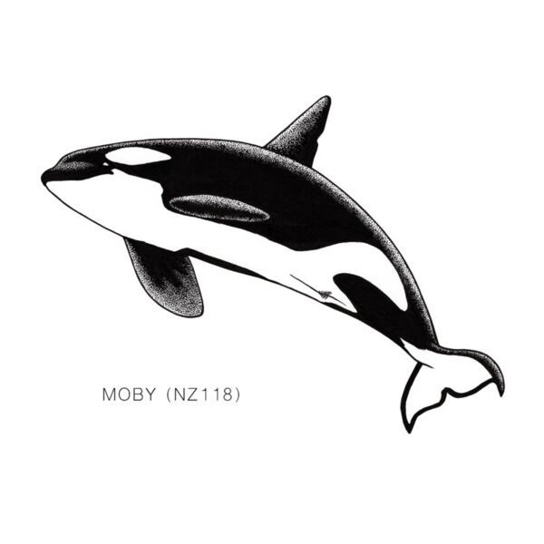 NZ Moby Thumbnail