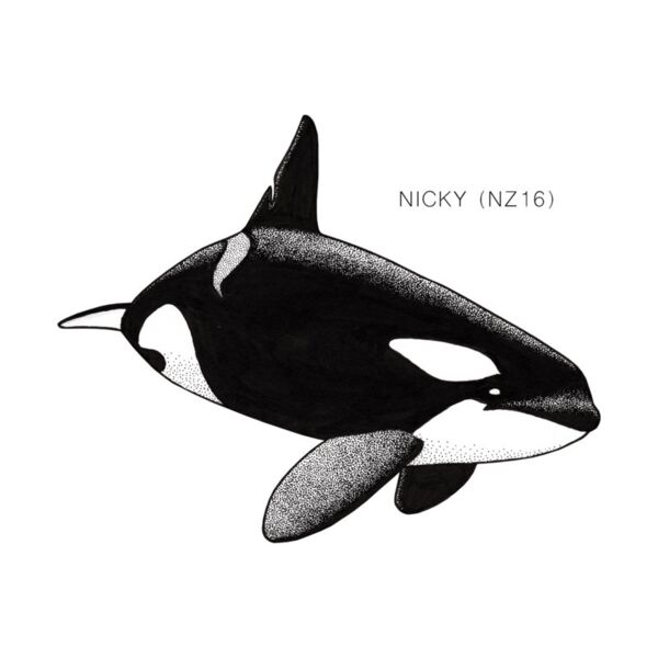 NZ Nicky Thumbnail