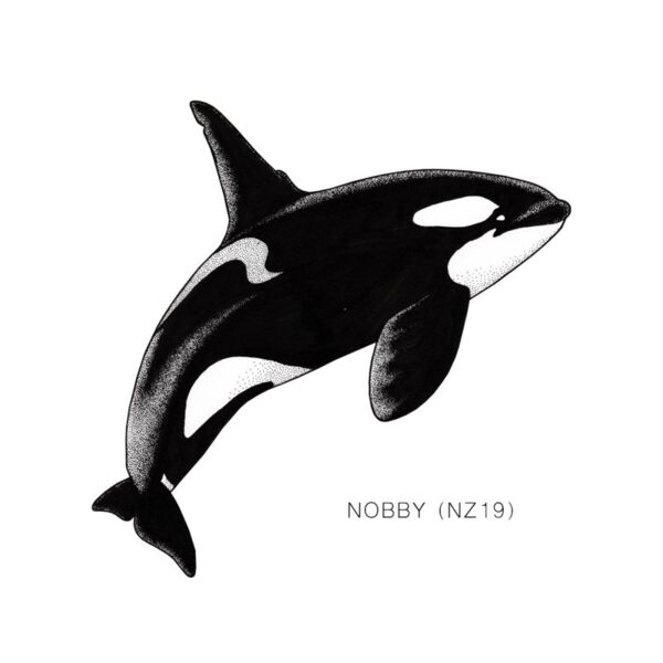 NZ Nobby Thumbnail