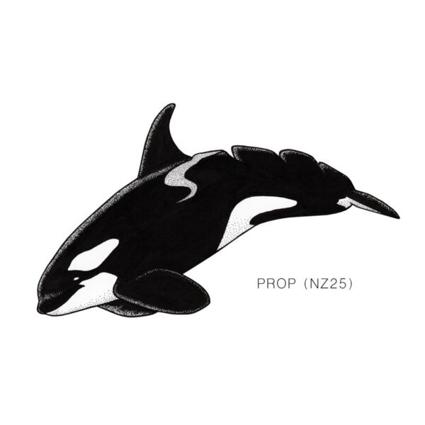NZ Prop Thumbnail