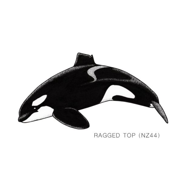 NZ Ragged Top Thumbnail