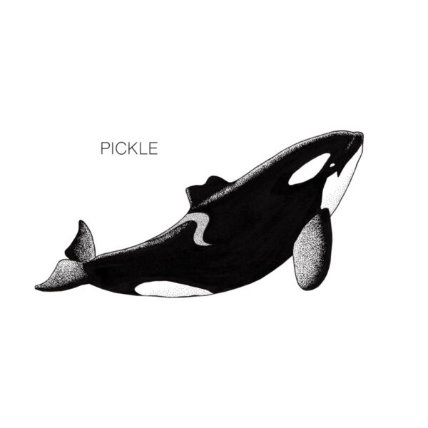 Pickle Thumbnail