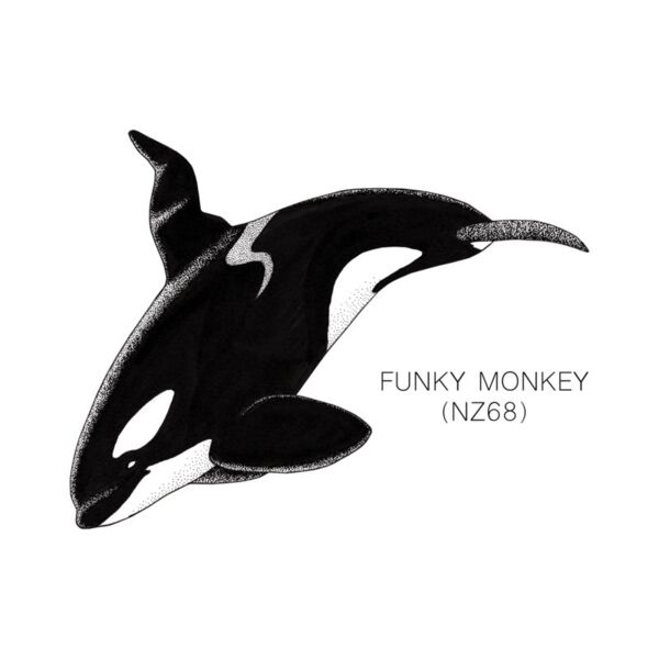 Funky Monkey Thumbnail