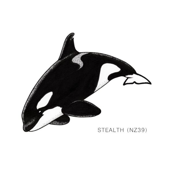 NZ Stealth Thumbnail
